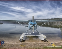 TSR Watermark - 0275
